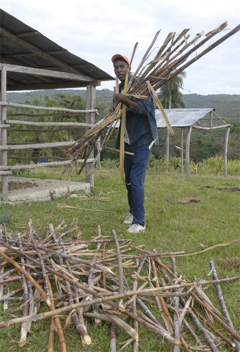 jóvenes Guantánamo 2019 2
