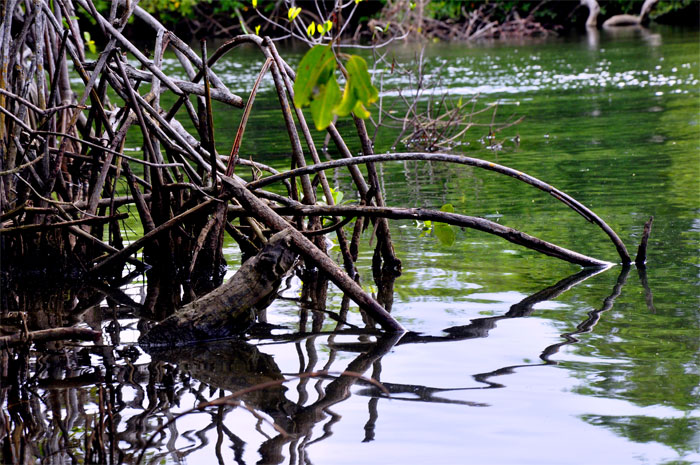 río Duaba Baracoa Guantánamo 8