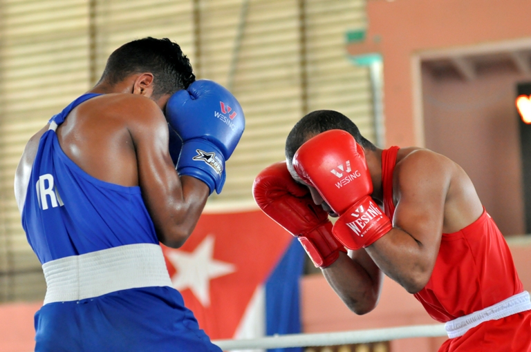 boxeo preparativos torneo