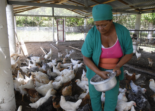 San Antonio del Sur 5