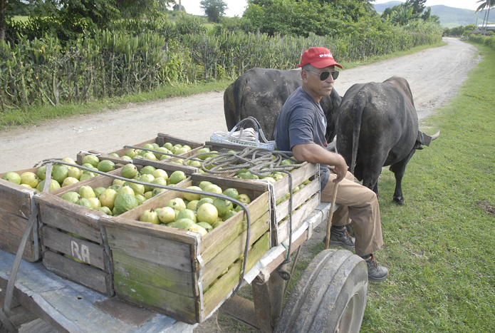 San Antonio del Sur 8