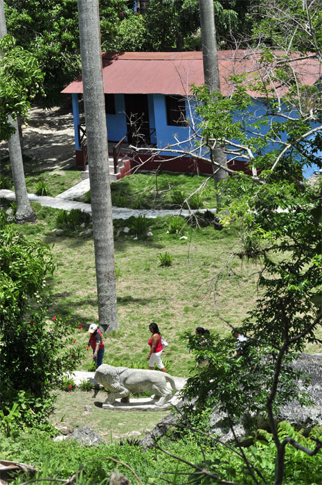 zoo cuba19