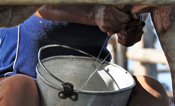 1revolución cubana 24