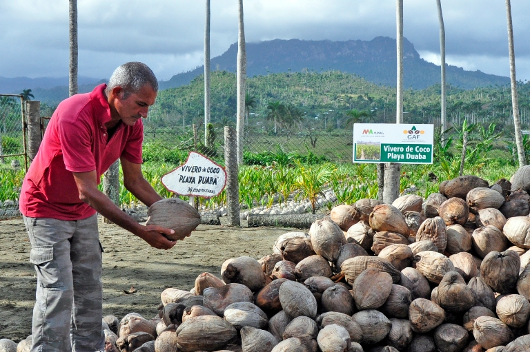 campesinos guantanameros