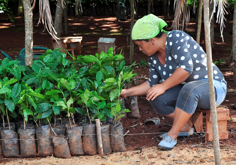 campesinos guantanameros8