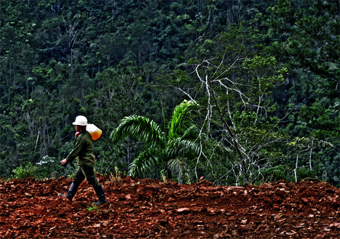 lomerío guantanamero 1