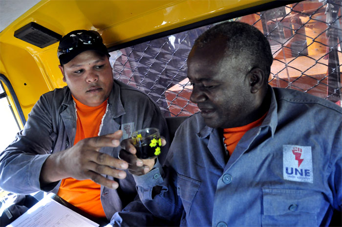 linieros empresa electrica2