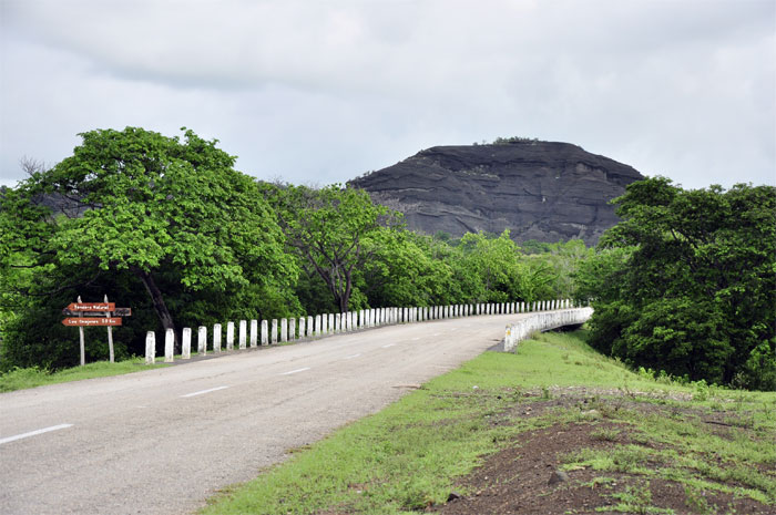 monitongos guantánamo 004