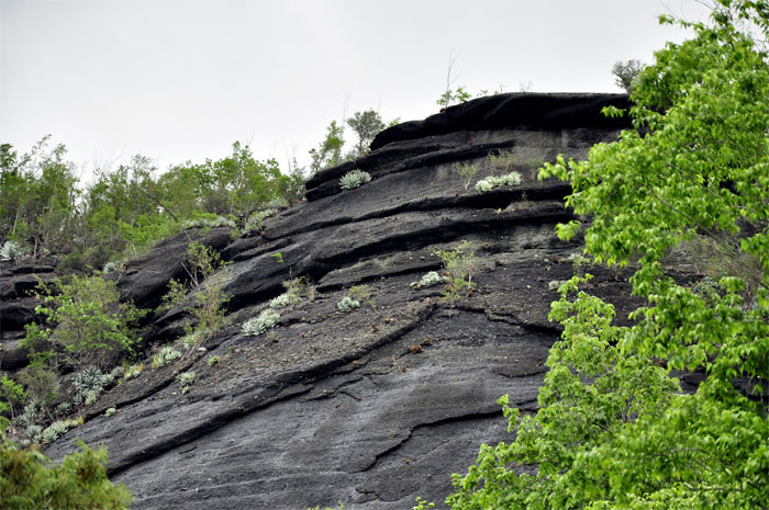 monitongos guantánamo 011