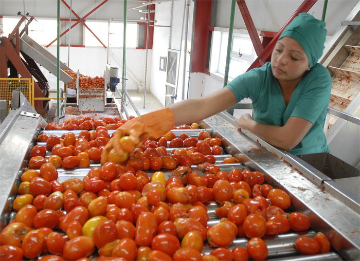 aniversario fmc mujeres2