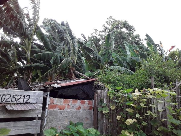 207095684 4276315695722168 3239792133957757369 n