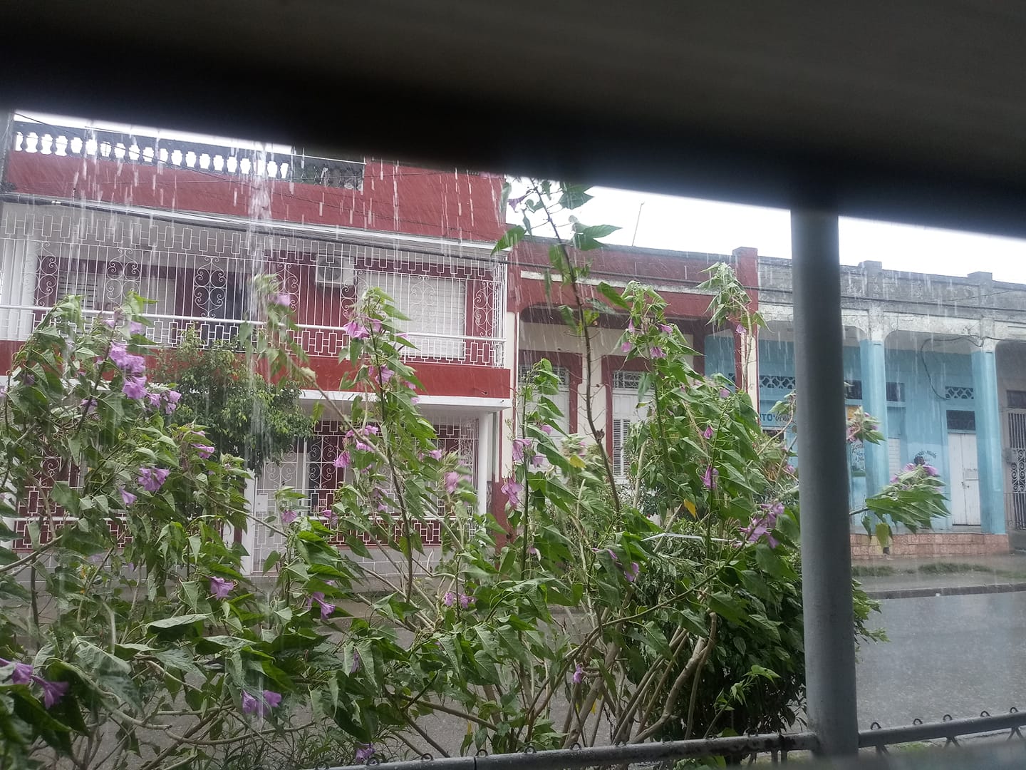 207338426 10226272641502386 4547975809972123690 n