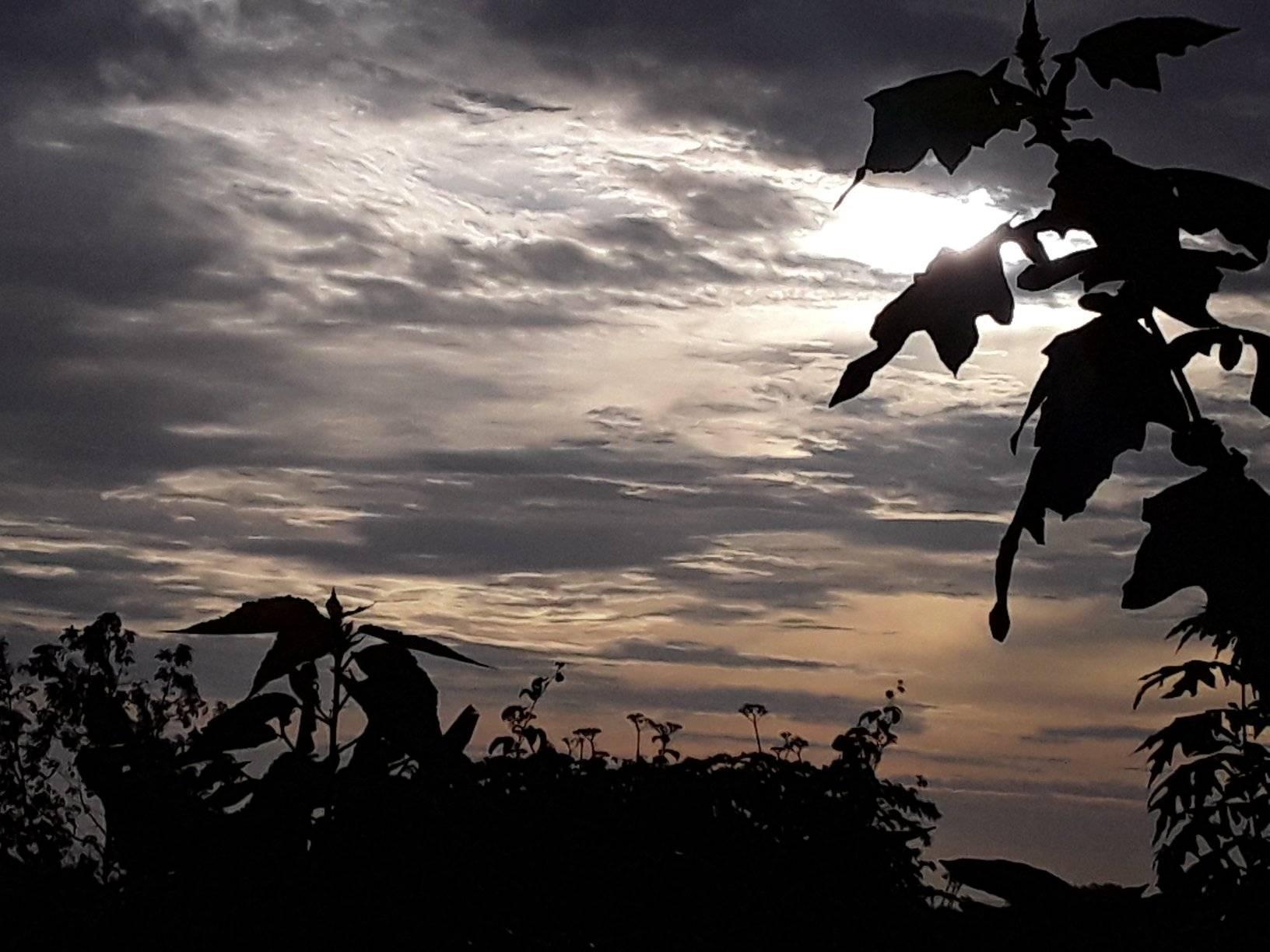 212008555 3072191989670273 7534822591697412555 n