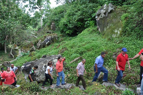 fernando zoo piedra6 302428