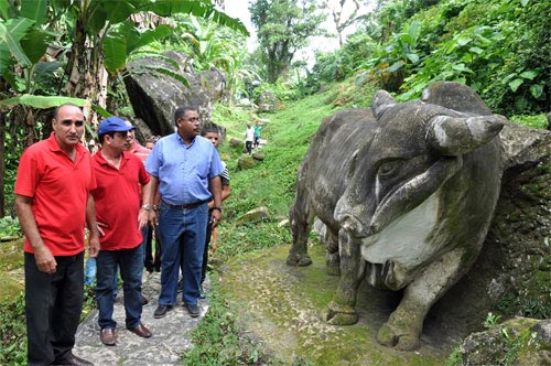 fernandop zoo piedra4 30242