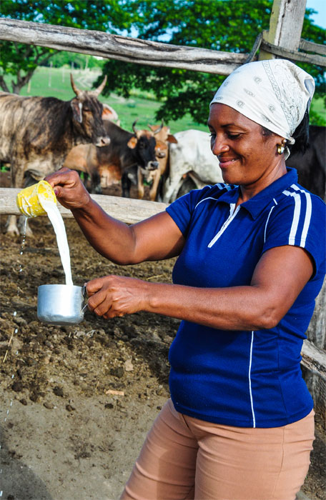 004 feliz dia federadas gua