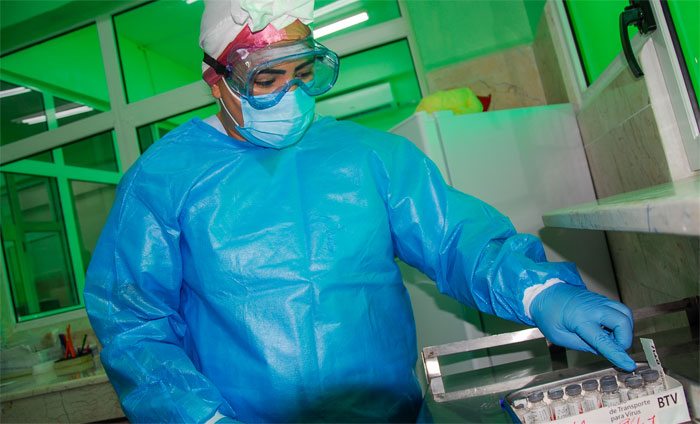 005 feliz dia federadas gua