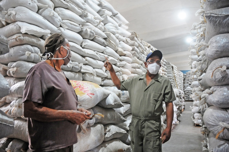 fábrica de chocolate de Baracoa 3
