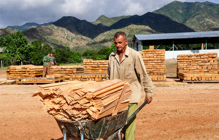 02 trabajador forestal guantánamo