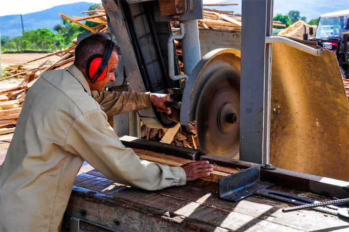 03 trabajador forestal guantánamo