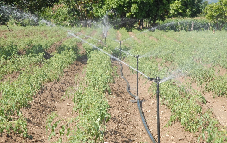 agricultura crecen proyectos