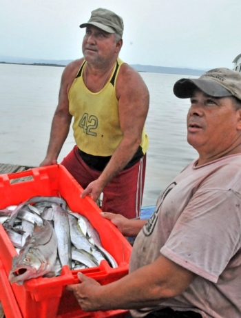 cooperativa caimanera3