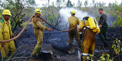 incendios forestales