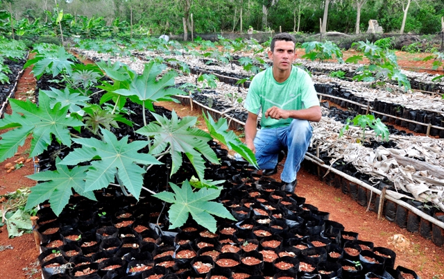1 la suerte de los raros