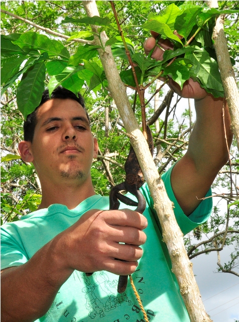 3 la suerte de los raros