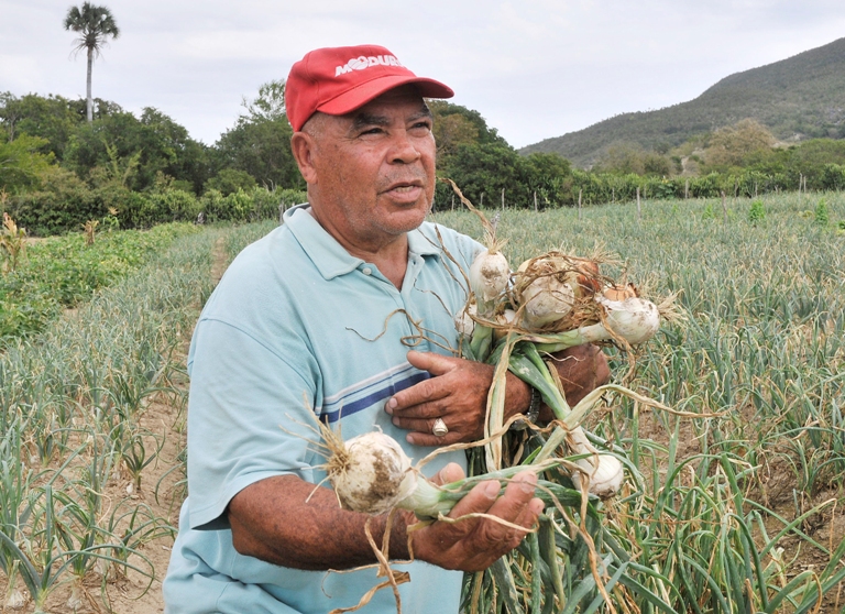marciano usufructuario