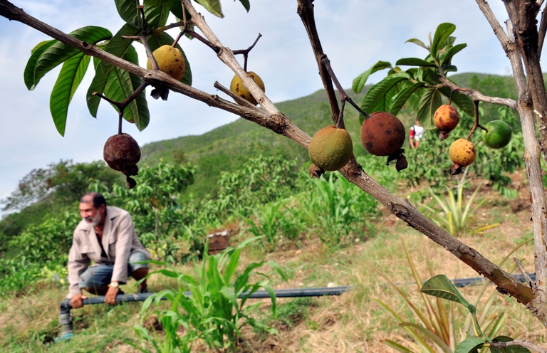 sequia valle caujeri3