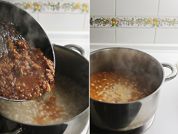 judias o frijoles blancos 8