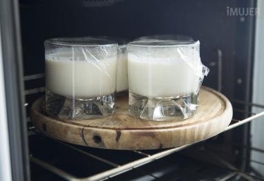 yogurt casero 6