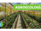 Comienza en Cuba foro mundial de agroecología