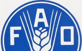 0623 FAO 1