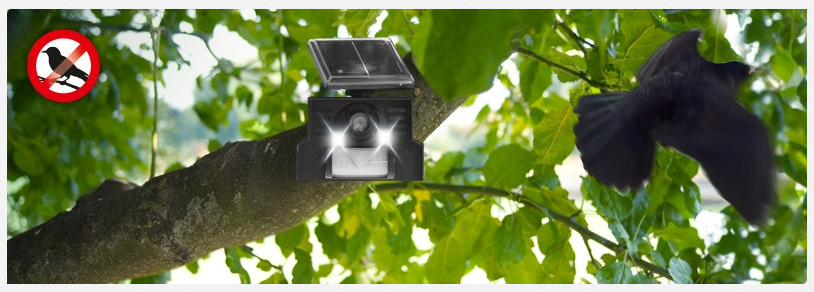espantapajaros solar con leds