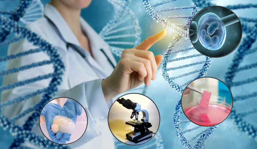 medicina regenerativa