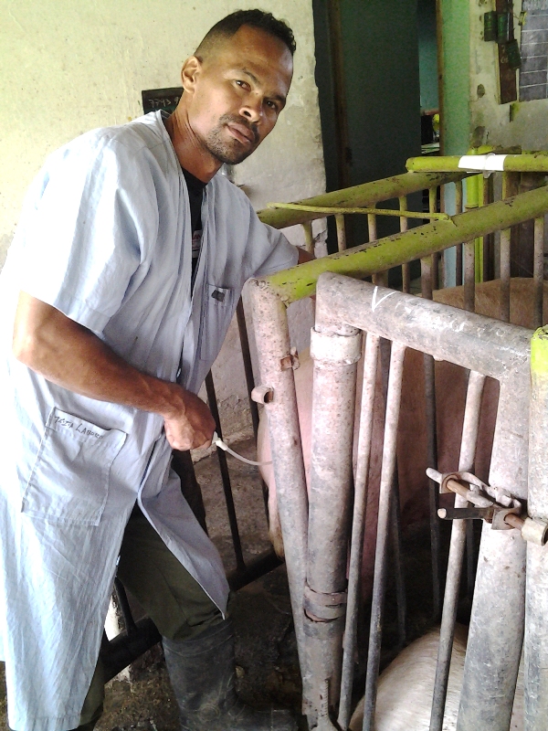 Maqueicito Gtmo porcino 2