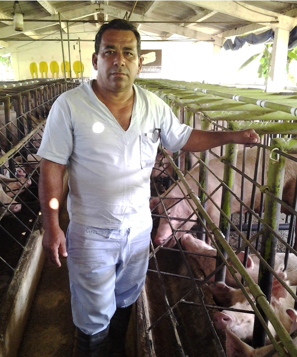 Maqueicito Gtmo porcino 4