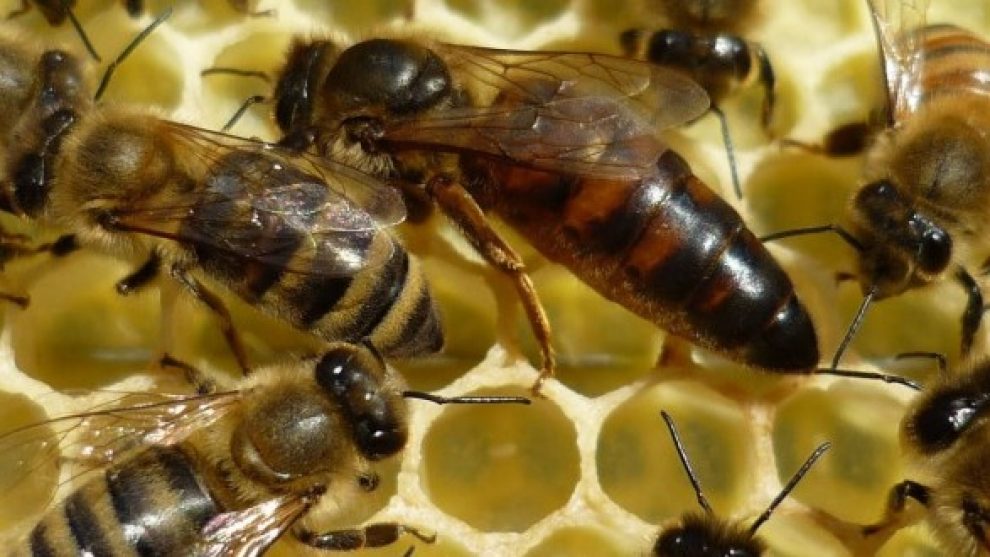 36ed29ba3efd281ca96d718c1541a169 XL