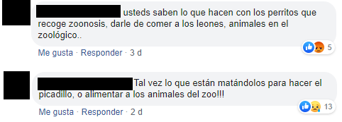 Leones