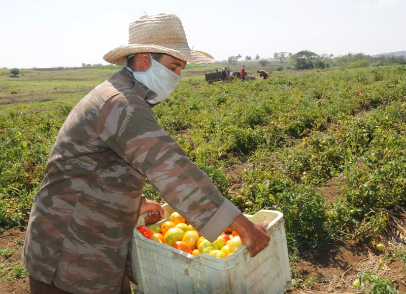 Chapala polo productivo 2