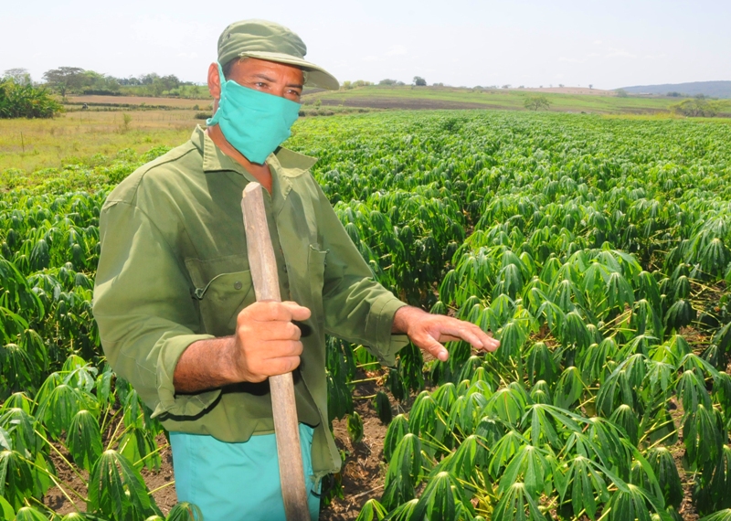 Chapala polo productivo 3