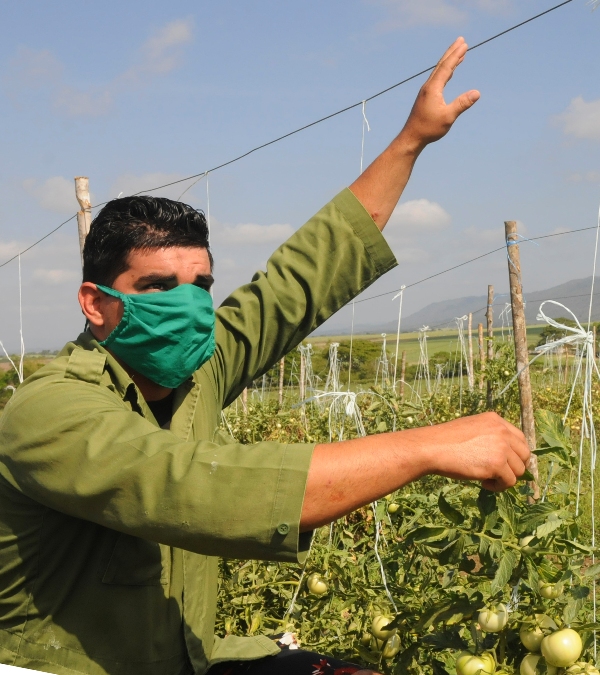 Chapala polo productivo 4