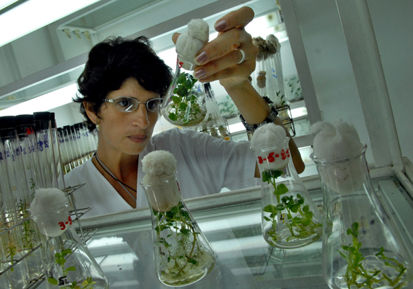 ciencia producción alimentos