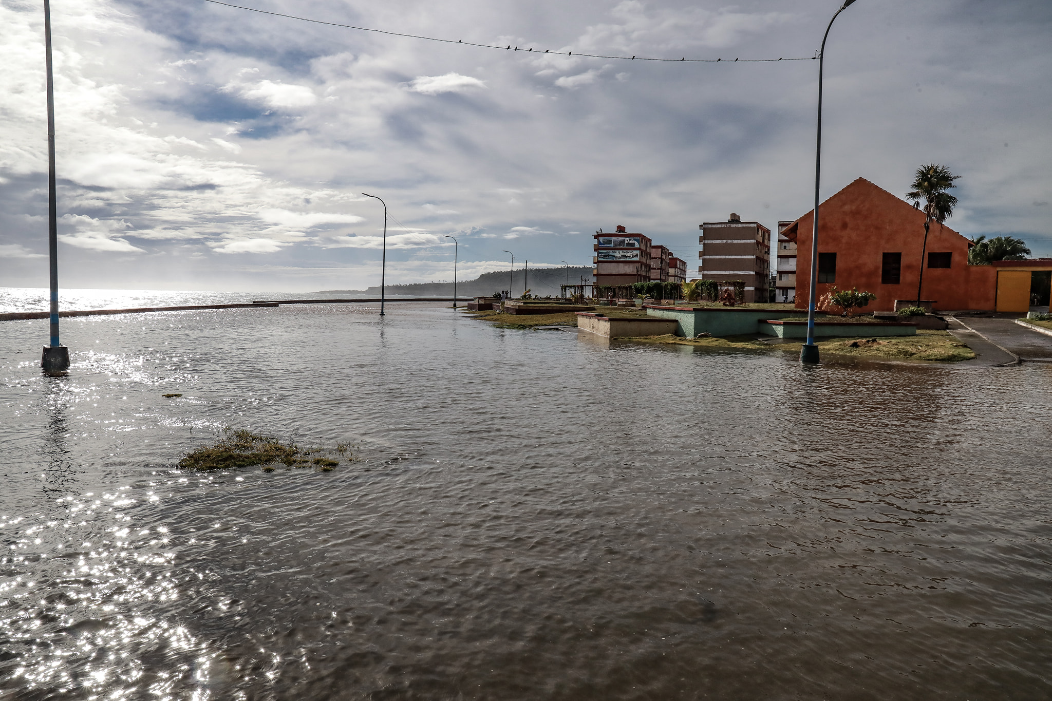 116269696 3209317449154809 6825805589758587322 o