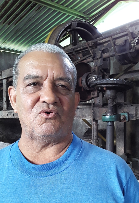 La Flor de la Tagua 2