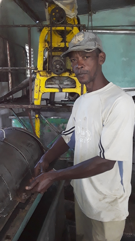 La Flor de la Tagua 3