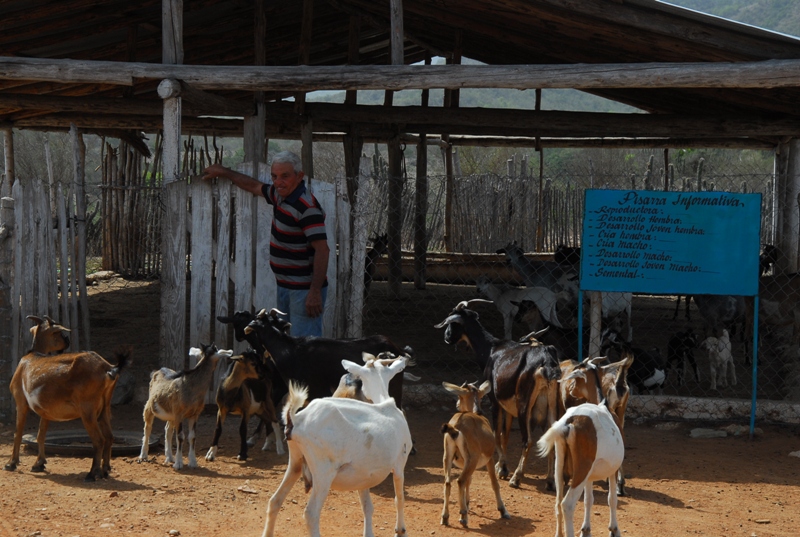 producir para todos 2