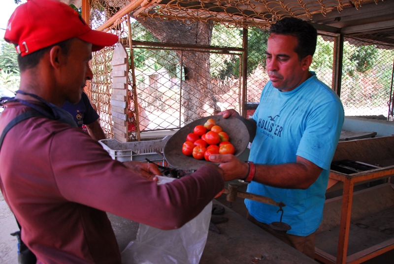 producir para todos 3